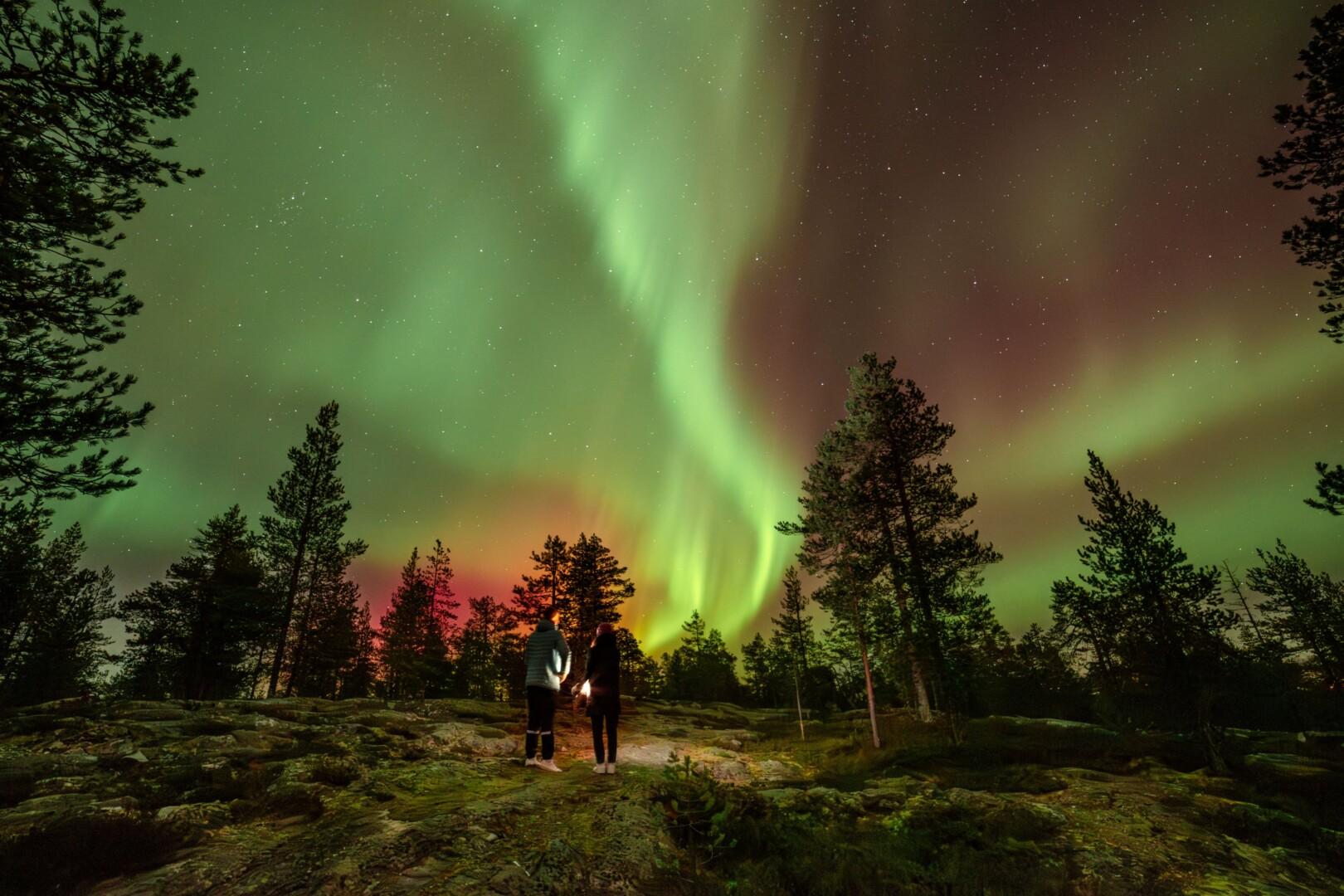 Two people standing in the forest in the middle of night with green northern lights in the sky. Photo: Roni Lukkarinen.