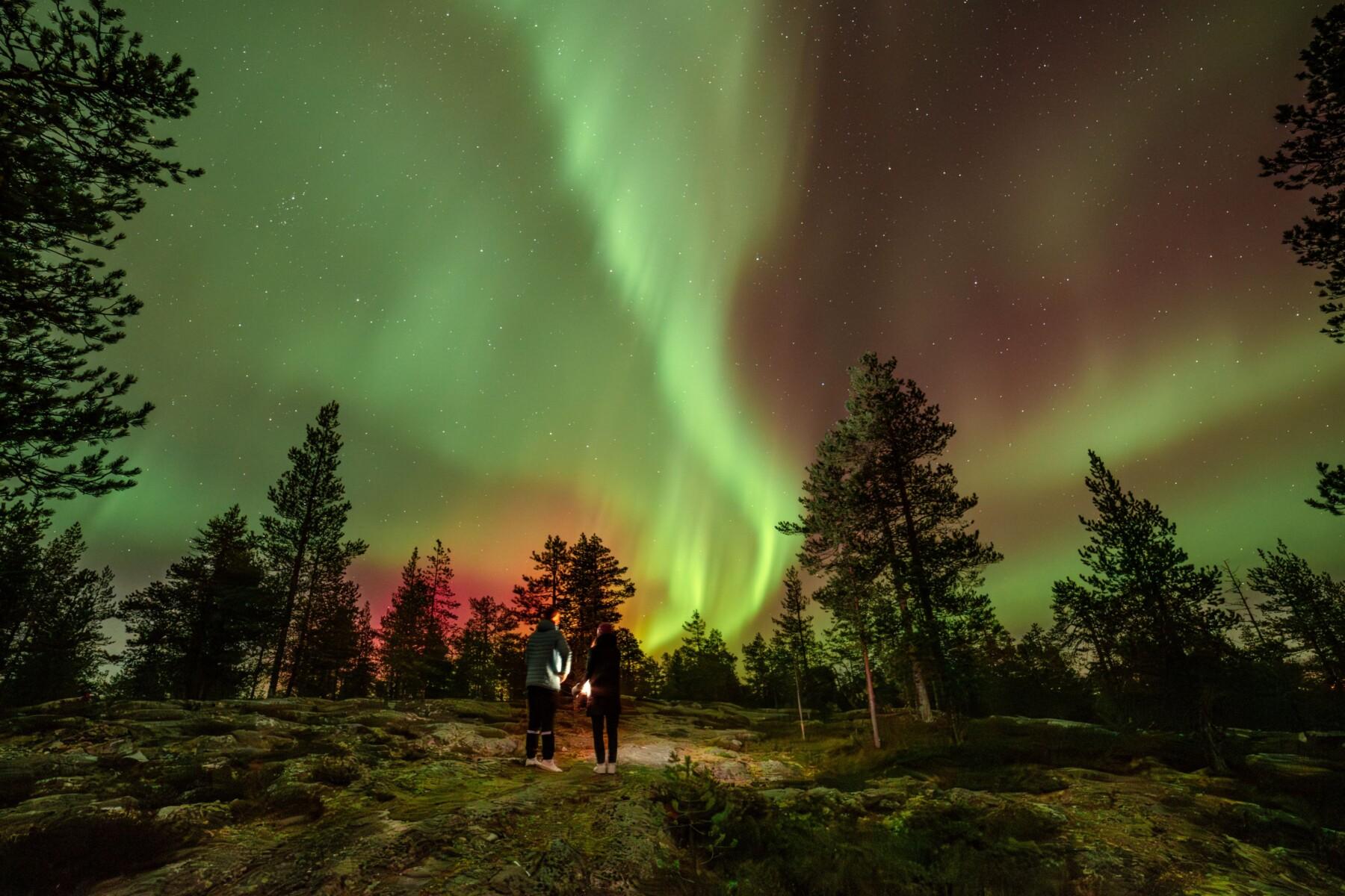 Two people standing in the forest in the middle of night with green northern lights in the sky. Photo: Roni Lukkarinen.