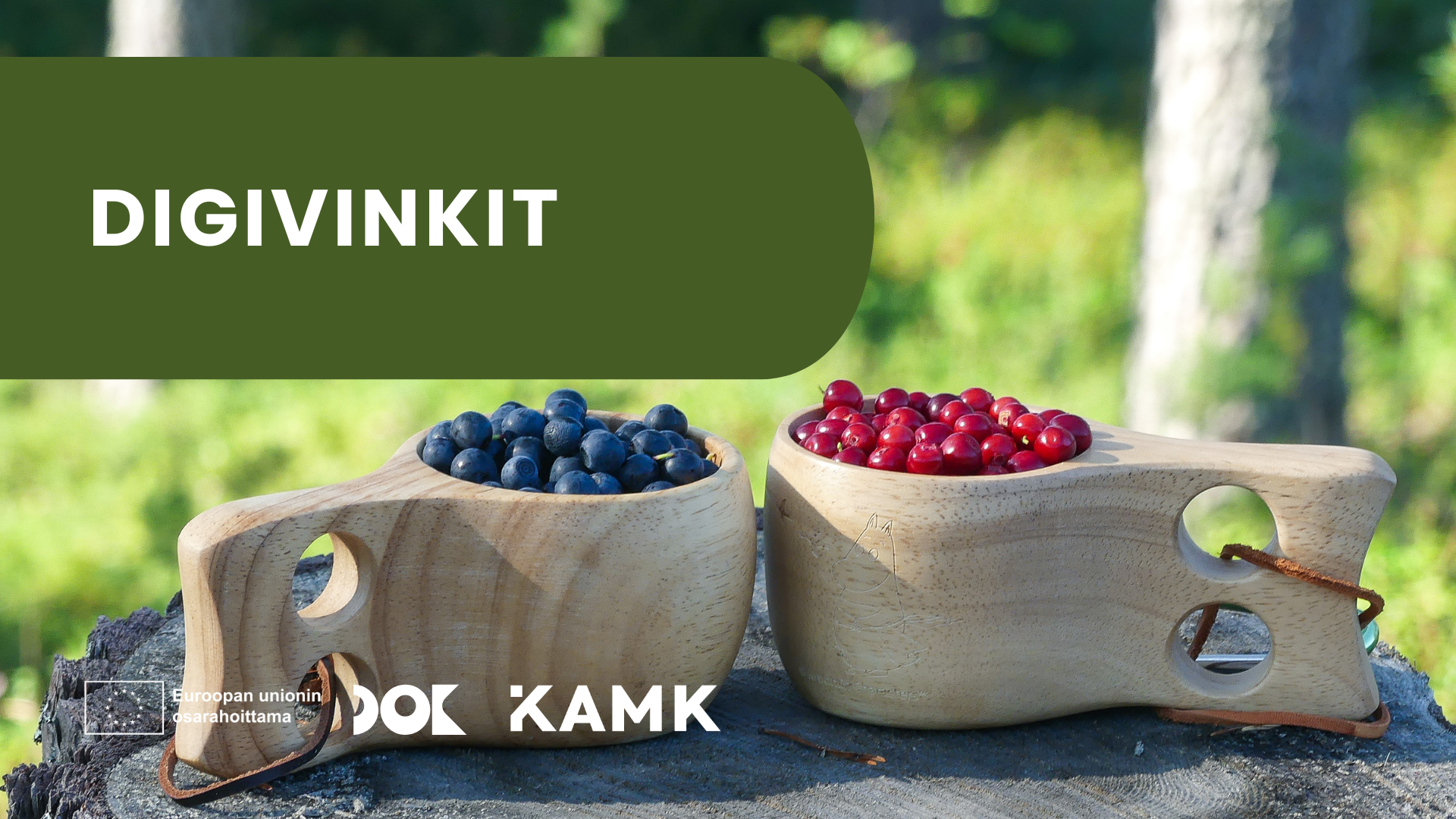 Kuva kahdesta kuksasta täynnä marjoja. Yläreunassa teksti Digivinkit. Alakulmassa Kajaanin ammattikorkeakoulun, Euroopan unionin osarahoittama ja DOK-hankkeen logot.
