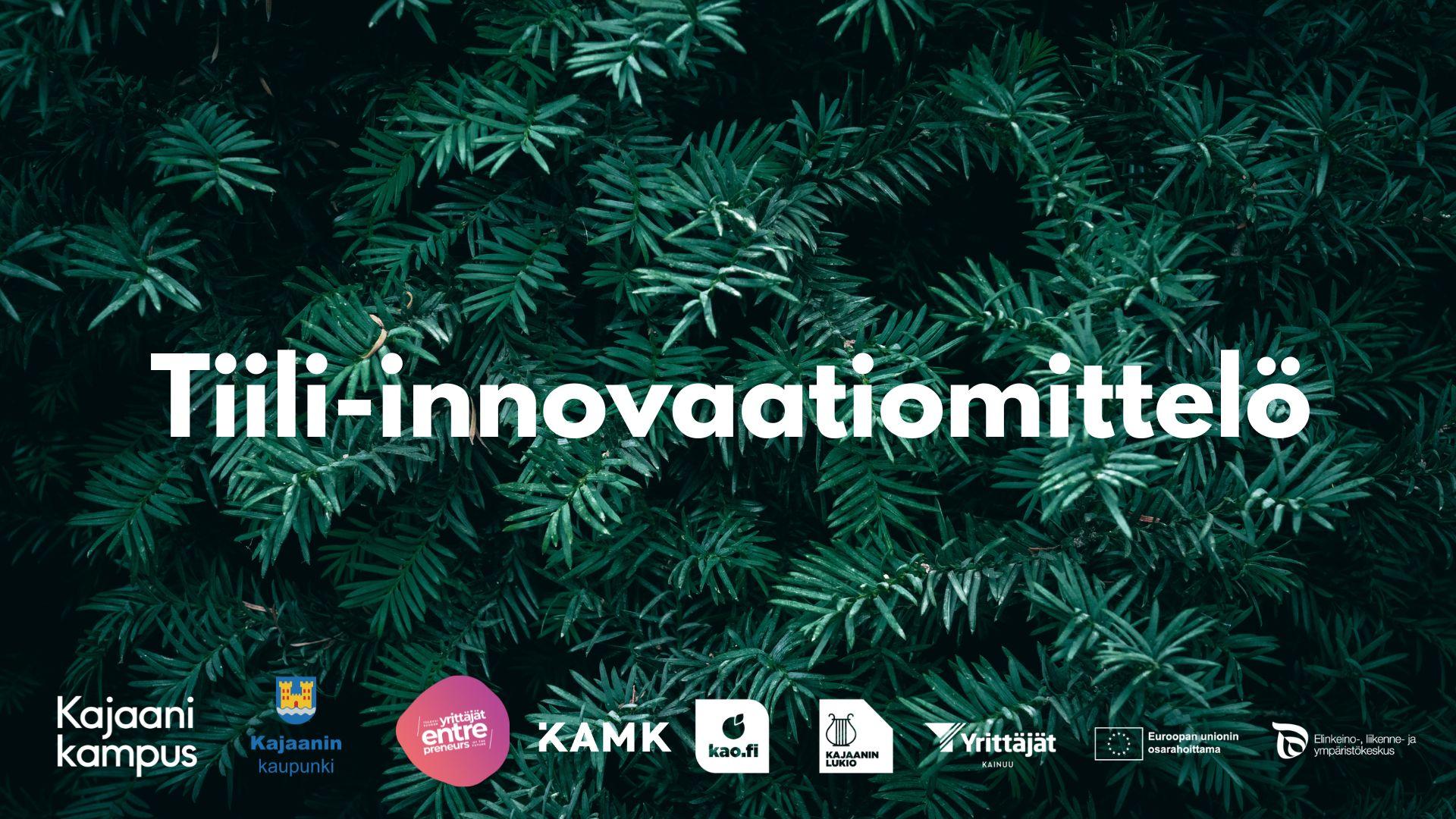 Kuvassa vihreitä kuusen havuja. Kuvan päällä valkoisella teksti Tiili-innovaatiomittelö sekä logot: Kajaani kampus, Kajaanin kaupunki, Tulevaisuuden yrittäjät, KAMK, KAO, Kajaanin lukio, Yrittäjät Kainuu, EU-lippu ja Euroopan unionin osarahoittama teksti sekä Elinkeino-, liikenne- ja ympäristökeskus.