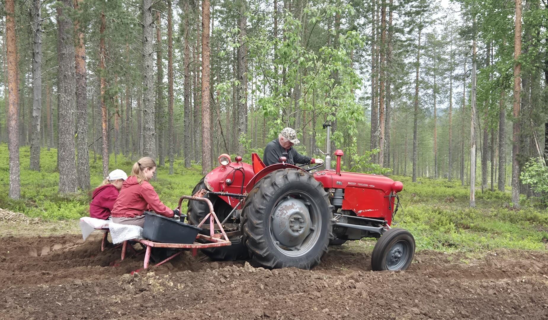 Copilot said: Photograph of potato planting. Two young people are sitting on the potato planter attached to the back of a tractor, while another person is driving the red tractor. A forest landscape can be seen in the background. Photo: Anne Tolonen.